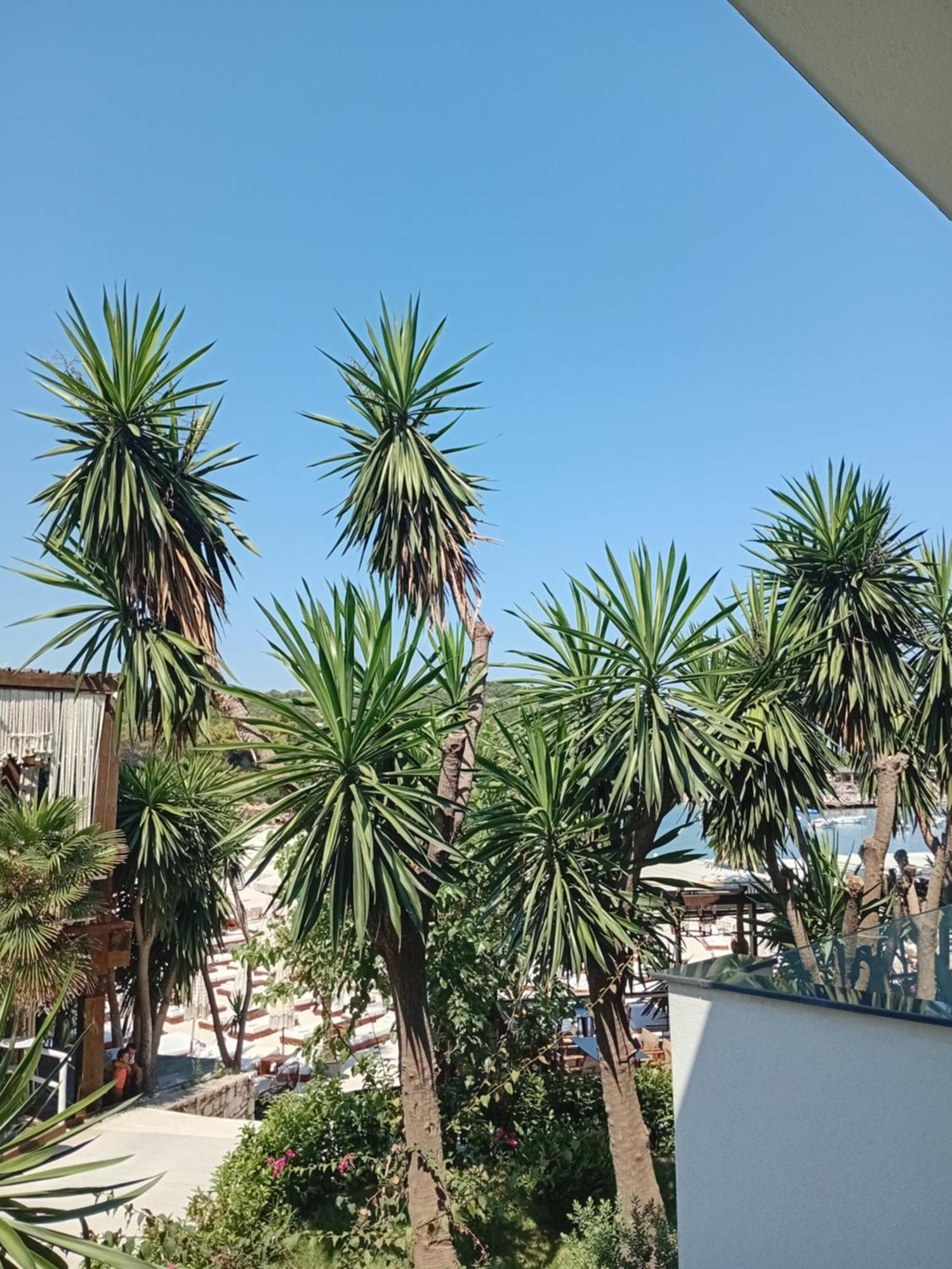 Denoel Hotell Ksamil